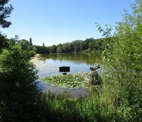 Blick über den Bärenweiher
