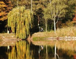 Bärenweiher im Herbst