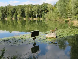 Blick über den Bärensee