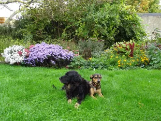 Im Garten (© Lautersheimer Gutshof)
