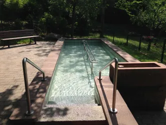 Ein privater Außenwhirlpool mit klarem Wasser und Metallgeländer. Im Hintergrund sind grüne Bäume und eine Parkbank sichtbar.