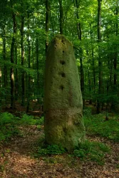 Langenstein bei Stahlberg (© VG Rockenhausen)