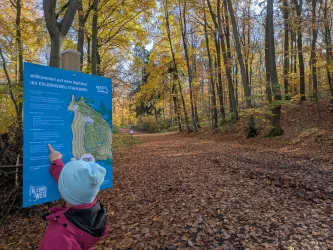 Ein Kind steht an einem Wegeschild im Wald und zeigt darauf. Die farbenfrohen Blätter der Bäume fallen im Herbst.
