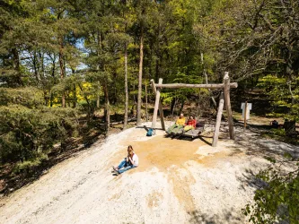 Ein schöner Spielplatz im Wald mit einer Holzschaukel. Kinder und Erwachsene genießen die Natur in einer sonnigen Umgebung.