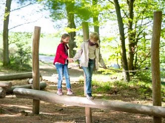 Zwei Mädchen spielen auf einem Baumstamm im Wald. Sie halten sich an den Händen und lachen miteinander.