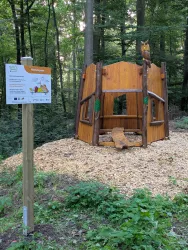 Himmelsgucker
