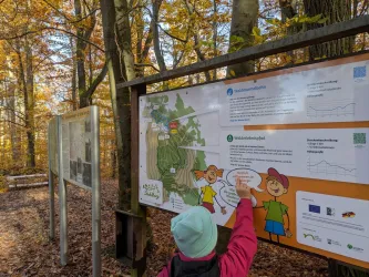 Ein Kind zeigt auf ein Informationsschild im Wald. Die Umgebung ist von buntem Herbstlaub umgeben.