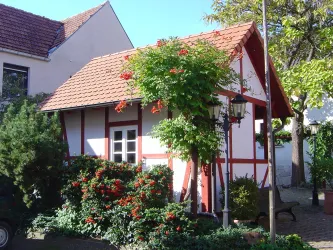 Backhaus 1 (© Jörg Dörr)