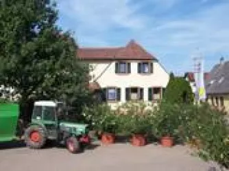 Weingut Spielmann-Schindler - Hausansicht (© Weingut Spielmann-Schindler)