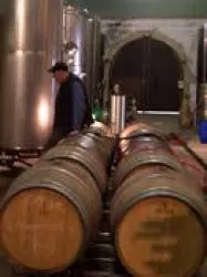 Weingut Spielmann-Schindler - Keller (© Weingut Spielmann-Schndler)