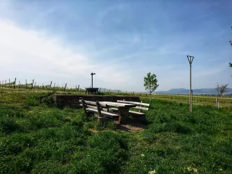 ... ein schönes Plätzchen für ein Picknick!