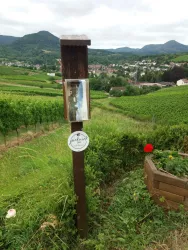 Picknickplatz (© Verein SÜW Annweiler e.V.)