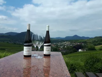 Weinreben Hahn-Hof Blick Trifels (© Verein SÜW Annweiler e.V.)