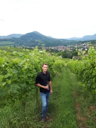 Weingut Hahn-Hof im Weinberg (© Verein SÜW Annweiler e.V.)
