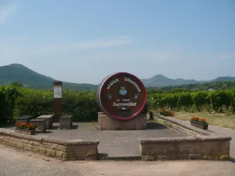 Ein großes Weinfass-Symbol steht inmitten von Weinbergen. Im Hintergrund sind sanfte Hügel und ein klarer Himmel zu sehen.