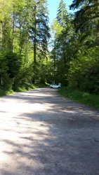Wanderparkplatz St. Johann (© Verein SÜW Annweiler e.V.)
