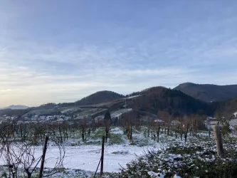 We Escape (© Verein Südliche Weinstrasse Annweiler am Trifels e.V.)