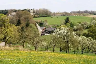 Wahlbacherhof (© Archiv: Wahlbacherhof)