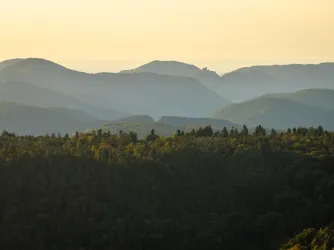 Sonnenaufgang über dem Pfälzerwald mit Burg Trifel