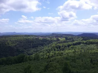 Blick Richtung Hermersbergerhof