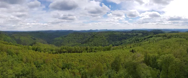 Panoramaausblick Sommer