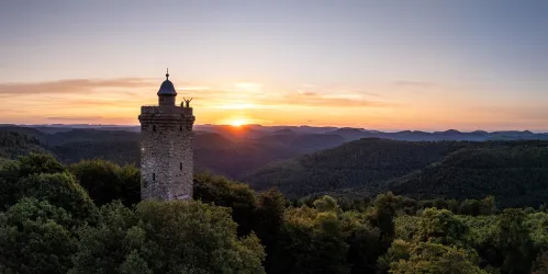 Luitpoldturm bei Sonnenaufgang