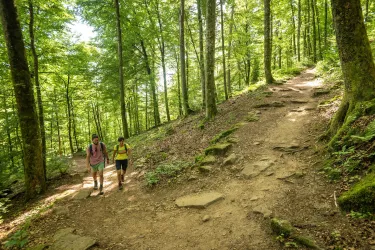Der Aufgang zur Burg Gräfenstein