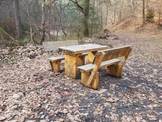 Rastplatz Ringelstal