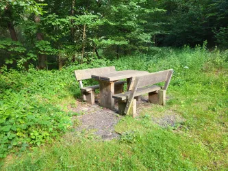 Rastplatz Ringelstal