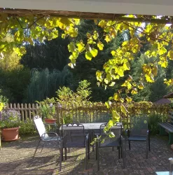 Herbst
