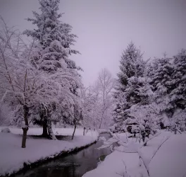 Winter am Bach