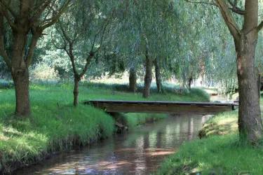 Natürliches Kneippen im Bach