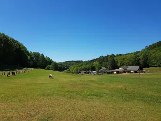 Birkwieserhof mit Pferdekoppeln