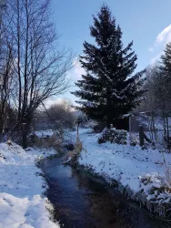 Merzalbe im Winter