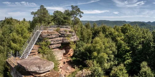 Eine felsige Aussichtsplattform umgeben von üppigem Grün und Bäumen. Der klare Himmel und die sanften Hügel im Hintergrund laden zur Erkundung ein.