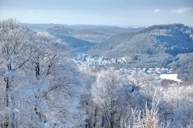 Eine winterliche Landschaft mit schneebedeckten Bäumen und sanften Hügeln im Hintergrund. Das Dorf ist leicht sichtbar zwischen den schneebedeckten Bäumen.