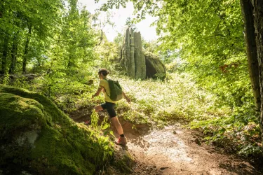 Ein Wanderer erklimmt einen steinigen Pfad im Wald. Umgeben von üppigem Grün und großen Felsen genießt er die Natur.