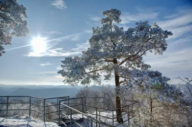 Ein schneebedeckter Baum steht auf einem Aussichtspunkt. Die Sonne scheint hell am blauen Himmel und beleuchtet die winterliche Landschaft.
