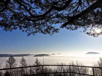 Blick vom Winschert-Felsen bei Nebel