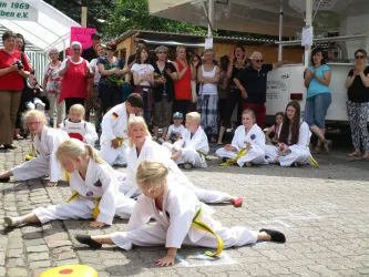Kampfsportvorführung beim Brunnengässelfest