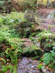 Quelle der Wieslauter