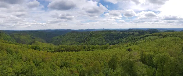 Panoramaaussicht Pfälzerwald