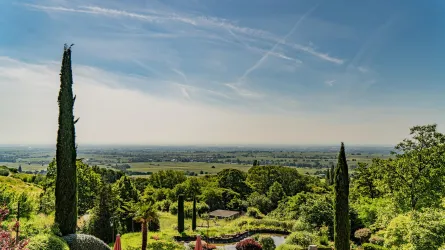 Eine weite Landschaft mit sanften Hügeln und üppigem Grün. Im Vordergrund stehen hohe Zypressen vor einem klaren blauen Himmel.