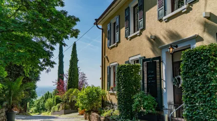 Ein charmantes Haus an einer ruhigen Straße, umgeben von üppigem Grün und hübschen Pflanzen. Im Hintergrund sind hohe Zypressen zu sehen, die dem Bild eine mediterrane Atmosphäre verleihen.