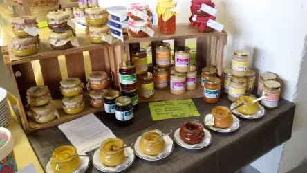 Eine Auswahl an verschiedenen Honiggläsern steht auf einem Tisch. Die Gläser sind bunt beschriftet und variieren in Größe und Farbe.