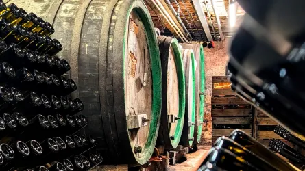 Ein Weinkeller mit großen Holzfässern und gestapelten Weinflaschen. Die Atmosphäre ist dunkel und rustikal.