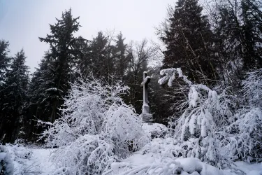 Wetterkreut Burrweiler im Wald (© Carsten Sommer)