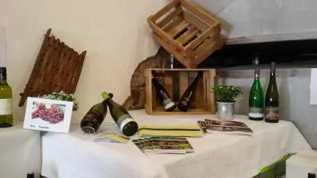 Ein rustikaler Tisch mit Weinflaschen und einem Holzkorb. Darauf liegen auch infomaterialien über Weinanbau.