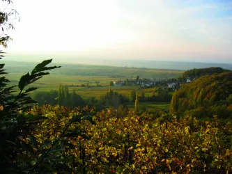 Eine malerische Landschaft mit Weinbergen und einem kleinen Dorf im Hintergrund. Der Himmel ist leicht bewölkt und die Natur zeigt zauberhafte Herbsttöne.