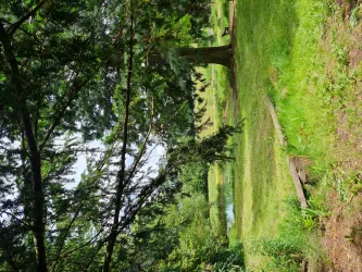 20240616_144658